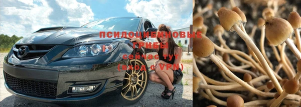 соль курить ск Бородино