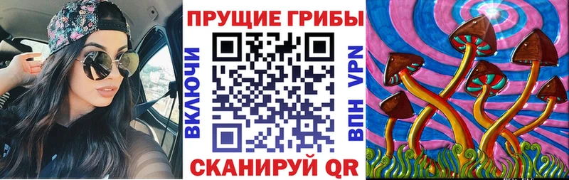 Галлюциногенные грибы мицелий  Егорьевск 